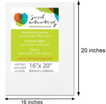 Stretched Canvas 16x20